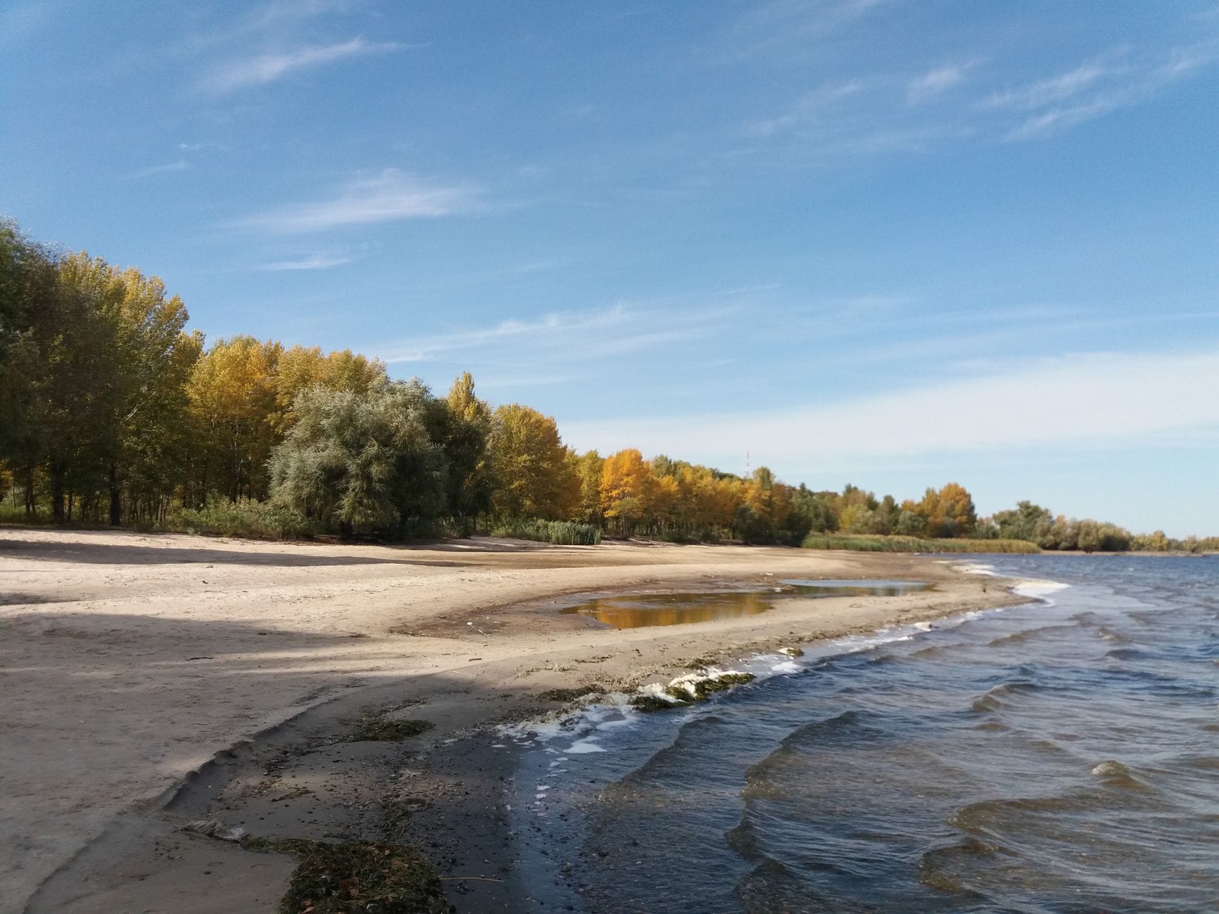 Jesienna, pusta plaża nad morzem z kolorowymi drzewami przy brzegu Jesienna, pusta plaża nad morzem z kolorowymi drzewami przy brzegu