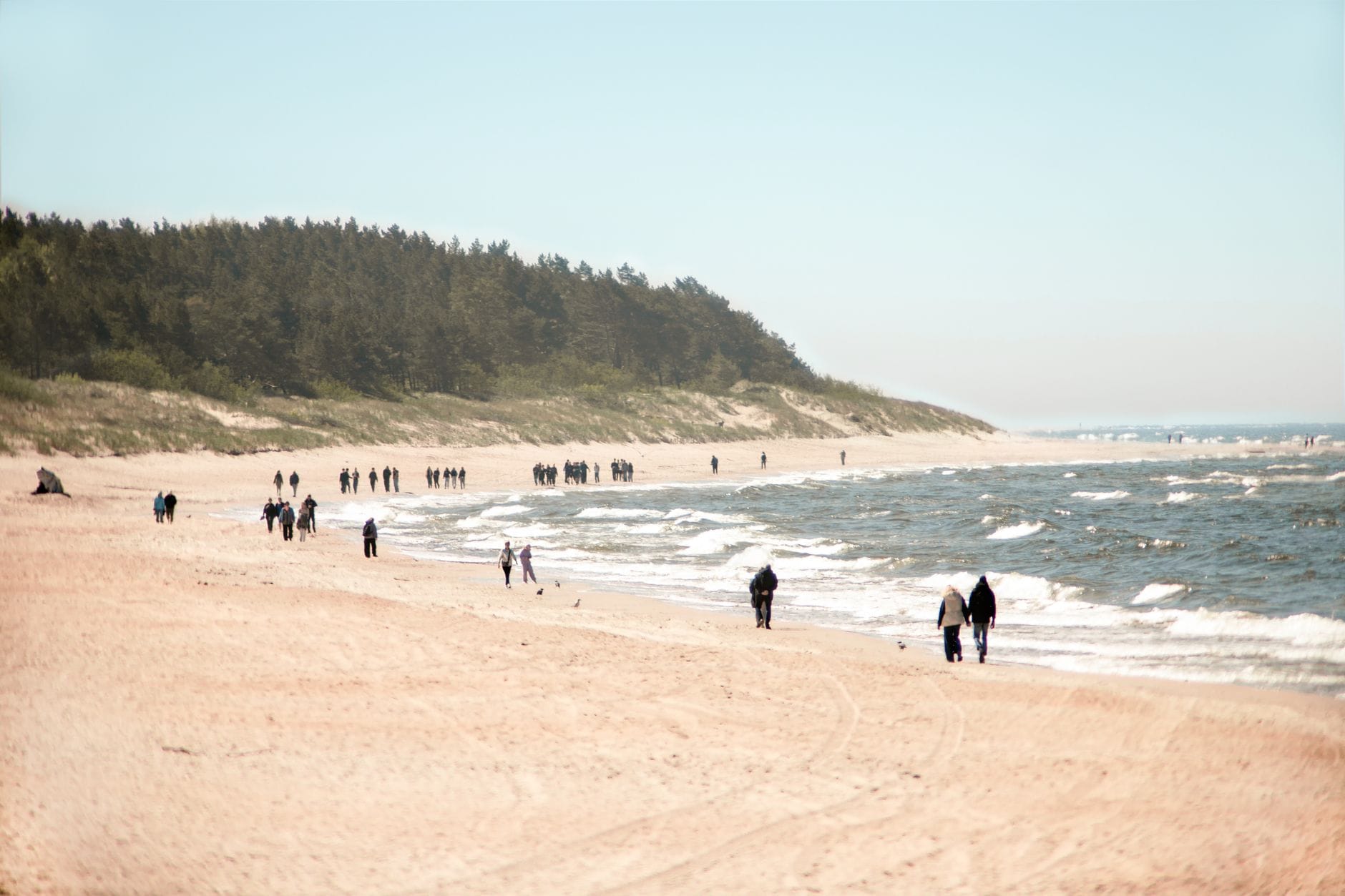 Spacerowicze na spokojnej plaży z lasem w tle nad Bałtykiem